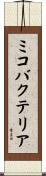 ミコバクテリア Scroll