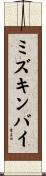 ミズキンバイ Scroll