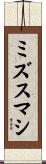 ミズスマシ Scroll