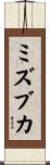 ミズブカ Scroll