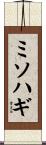 ミソハギ Scroll