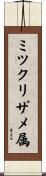 ミツクリザメ属 Scroll