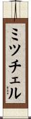 Mitchell Scroll