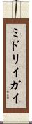 ミドリイガイ Scroll