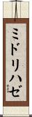 ミドリハゼ Scroll