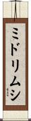 ミドリムシ Scroll