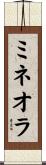 ミネオラ Scroll