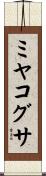 ミヤコグサ Scroll