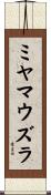 ミヤマウズラ Scroll