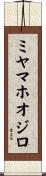 ミヤマホオジロ Scroll