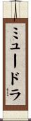 ミュードラ Scroll