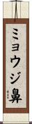 ミョウジ鼻 Scroll