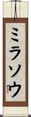 ミラソウ Scroll