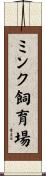 ミンク飼育場 Scroll