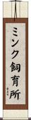 ミンク飼育所 Scroll