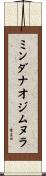 ミンダナオジムヌラ Scroll