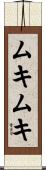 ムキムキ Scroll