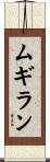 ムギラン Scroll