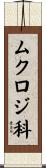 ムクロジ科 Scroll