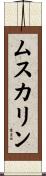 ムスカリン Scroll