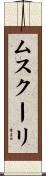 ムスクーリ Scroll
