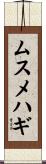 ムスメハギ Scroll
