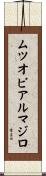 ムツオビアルマジロ Scroll
