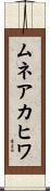 ムネアカヒワ Scroll