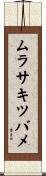 ムラサキツバメ Scroll