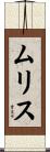ムリス Scroll