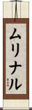 ムリナル Scroll