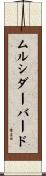 ムルシダーバード Scroll