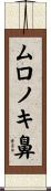 ムロノキ鼻 Scroll