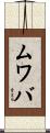 ムワバ Scroll