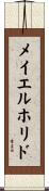 メイエルホリド Scroll