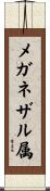 メガネザル属 Scroll