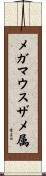 メガマウスザメ属 Scroll