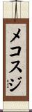 メコスジ Scroll