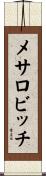 メサロビッチ Scroll