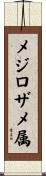 メジロザメ属 Scroll