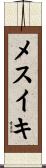 メスイキ Scroll