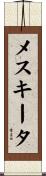 メスキータ Scroll