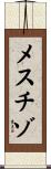 メスチゾ Scroll