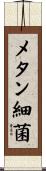 メタン細菌 Scroll