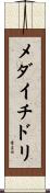 メダイチドリ Scroll