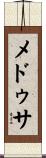 メドゥサ Scroll
