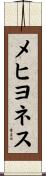 メヒヨネス Scroll
