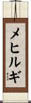 メヒルギ Scroll