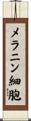 メラニン細胞 Scroll