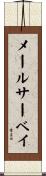 メールサーベイ Scroll